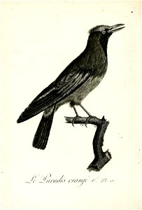 n405_w1150
