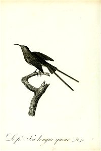 n165_w1150