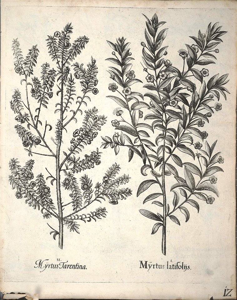 n163_w1150