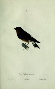 n68_w1150
