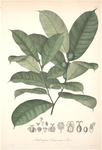 n106_w1150