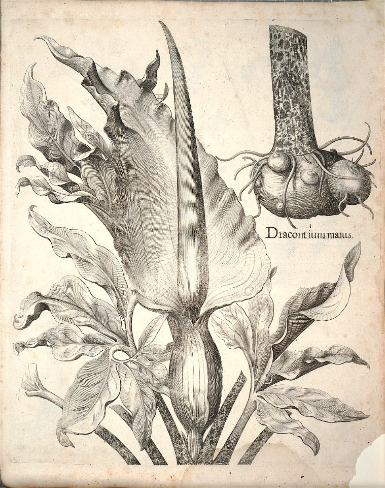 n209_w1150