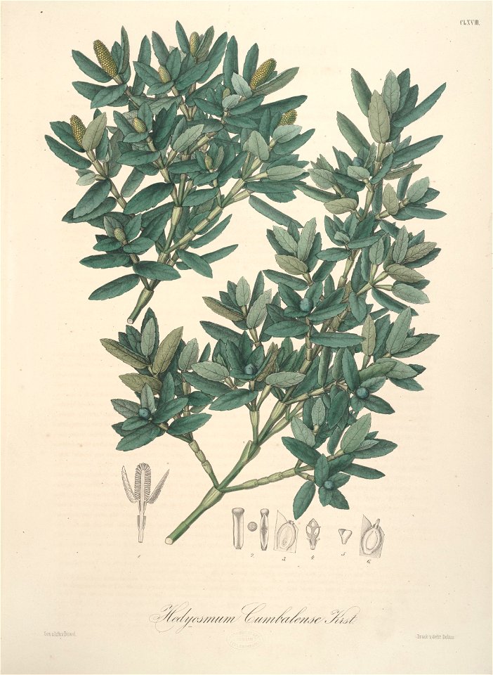 n202_w1150