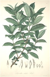 n159_w1150