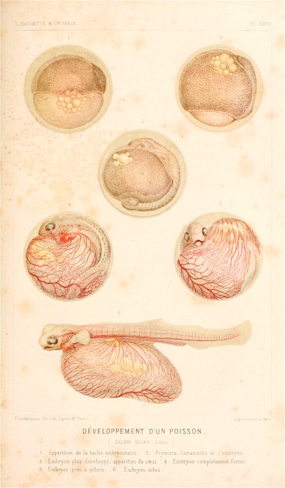 n562_w1150