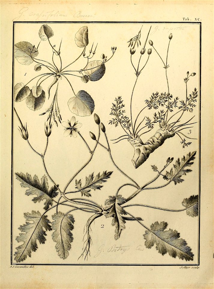 n496_w1150