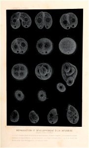n110_w1150