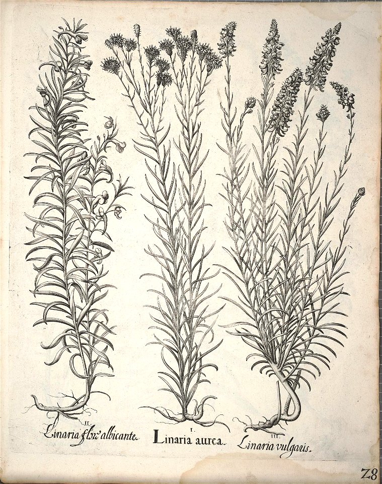 n179_w1150