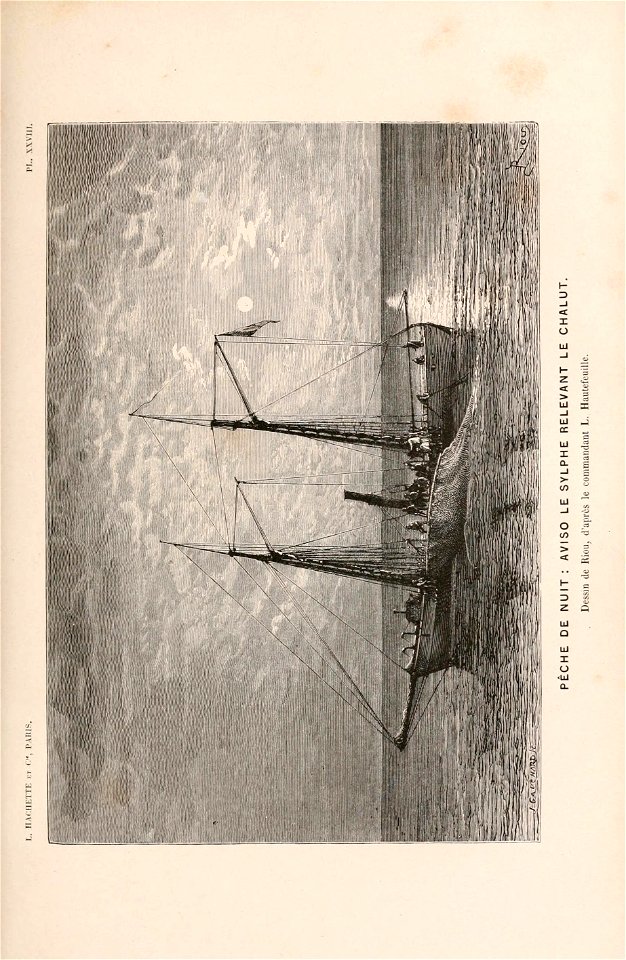 n568_w1150
