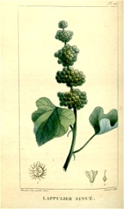 n164_w1150