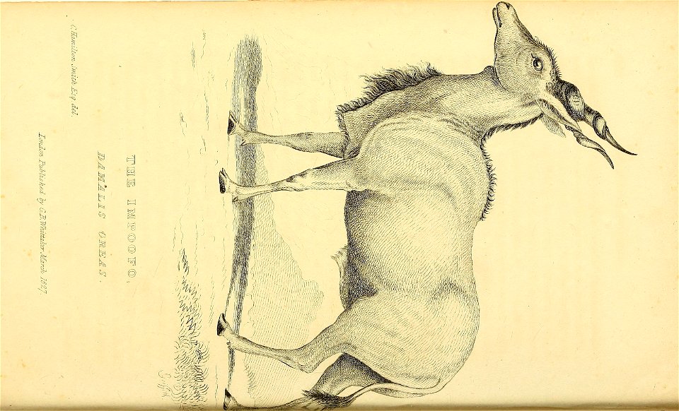 n449_w1150