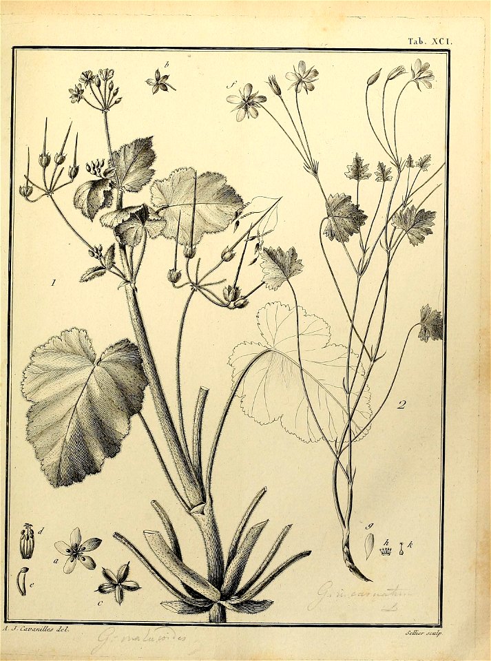 n498_w1150