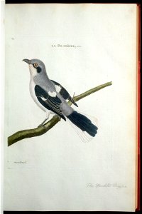 n122_w1150