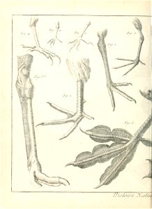 n13_w1150