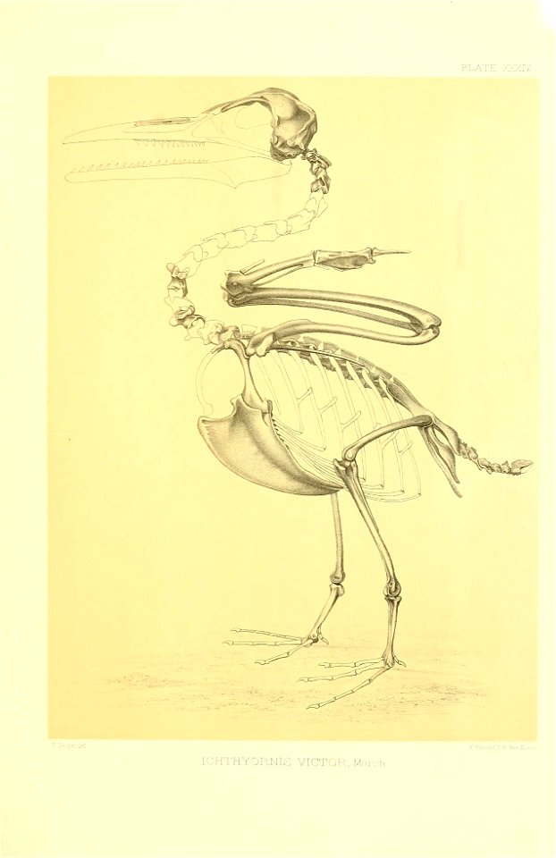 n374_w1150