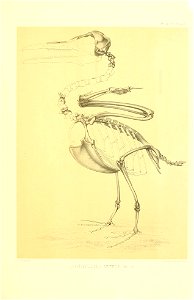 n374_w1150