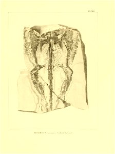n164_w1150