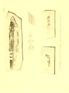 n162_w1150