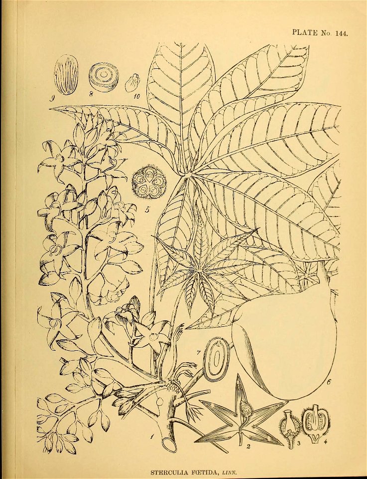n362_w1150