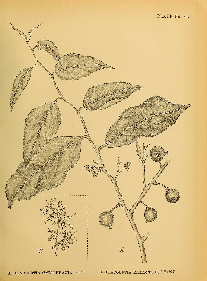 n218_w1150