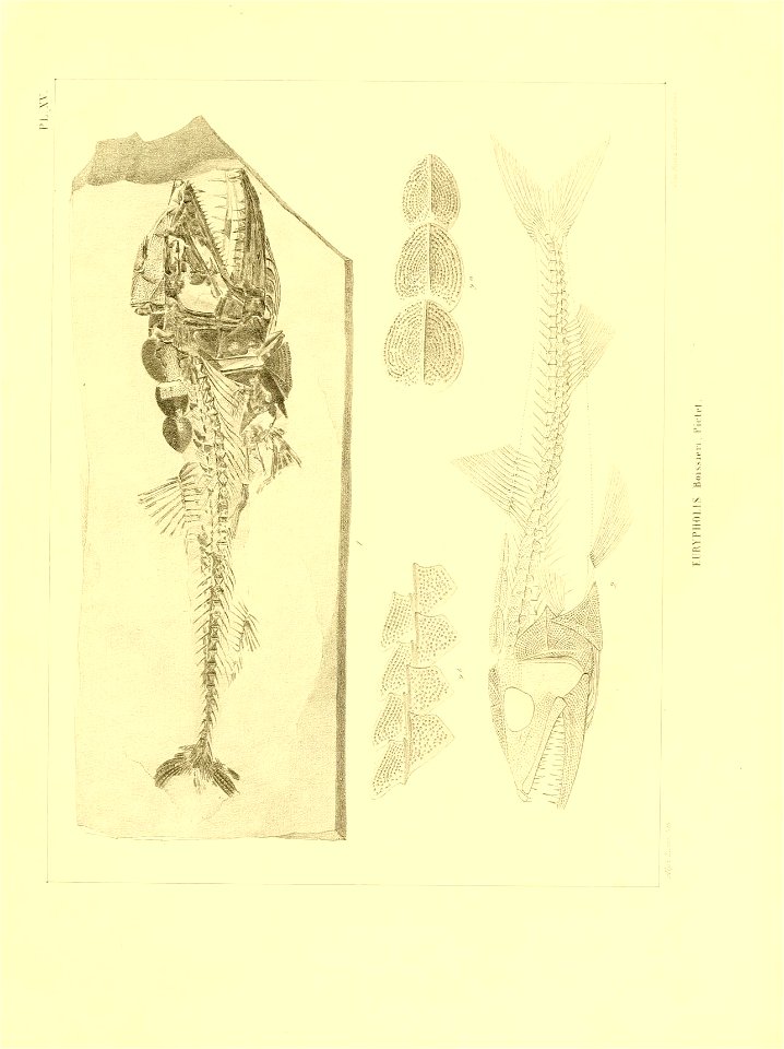 n156_w1150