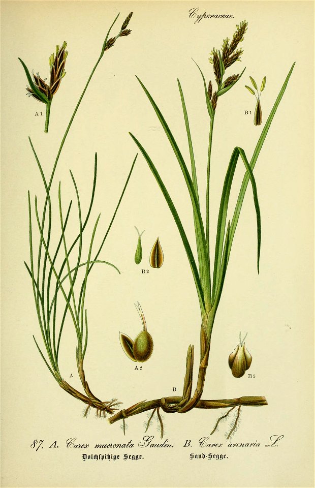 n678_w1150