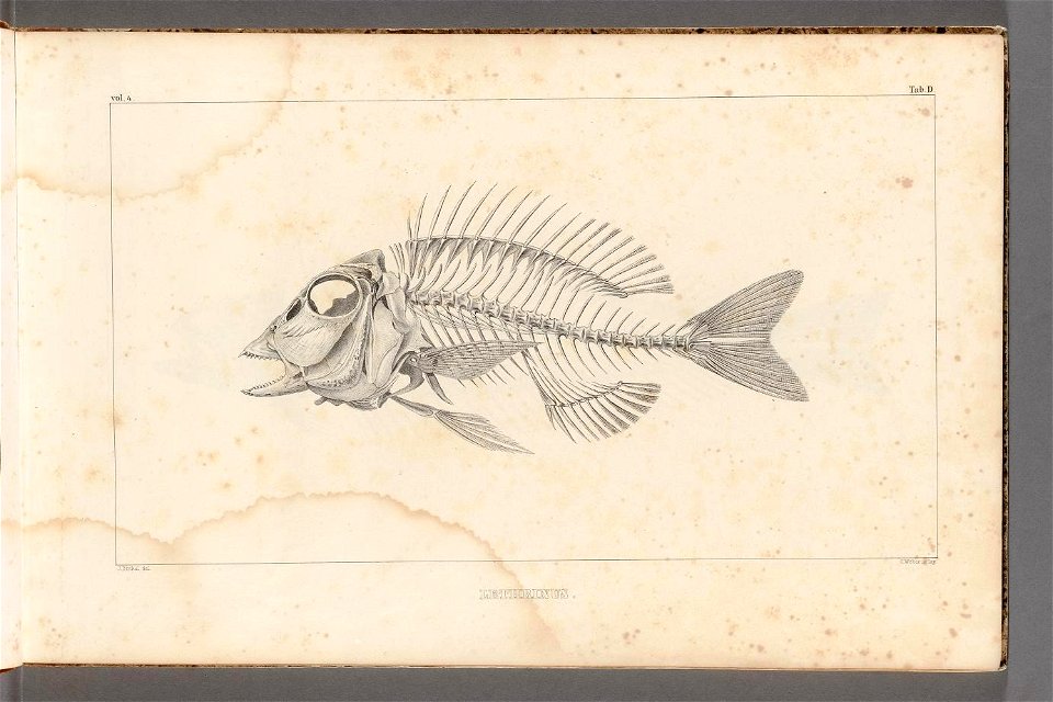 n8_w1150
