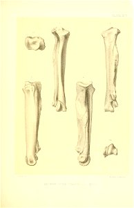 n304_w1150