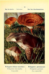 n116_w1150