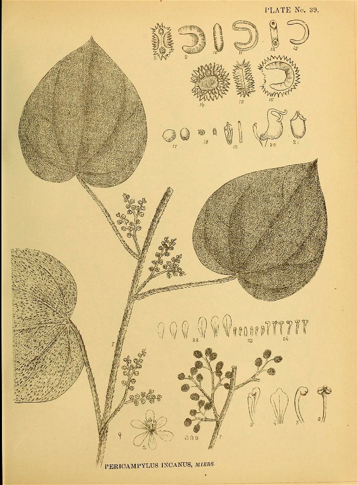 n116_w1150