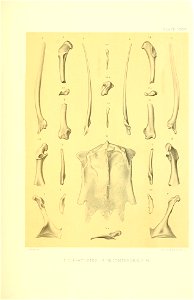 n354_w1150