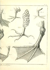 n14_w1150