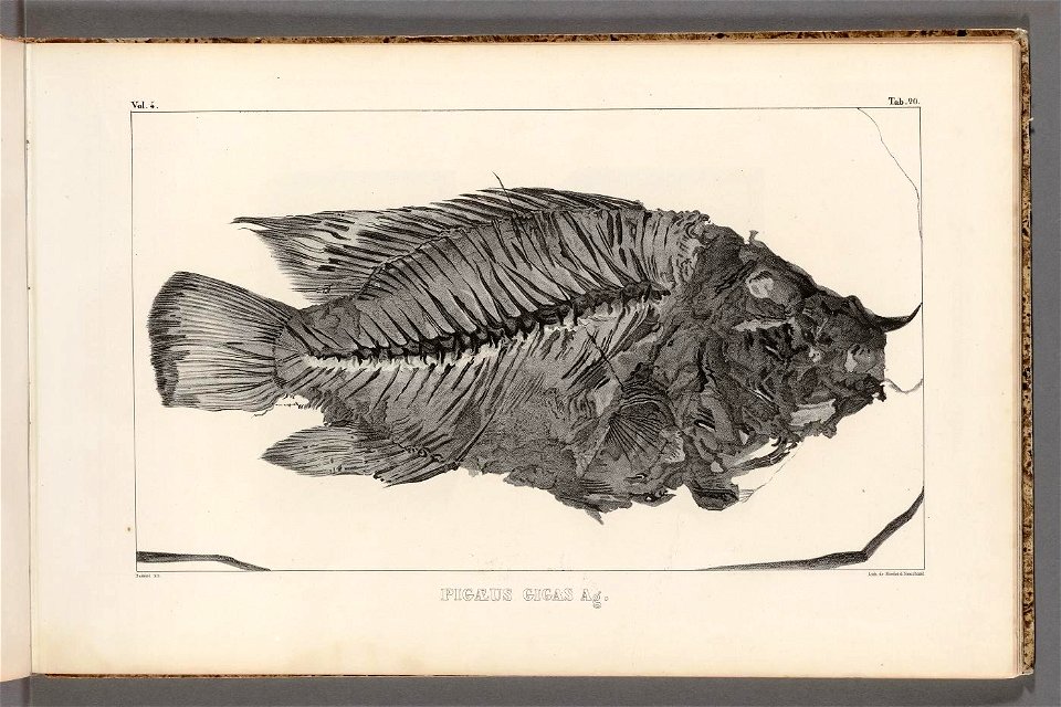 n40_w1150