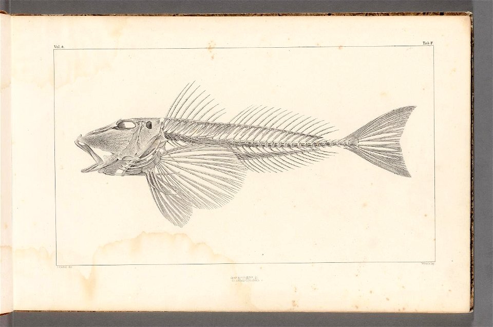 n10_w1150