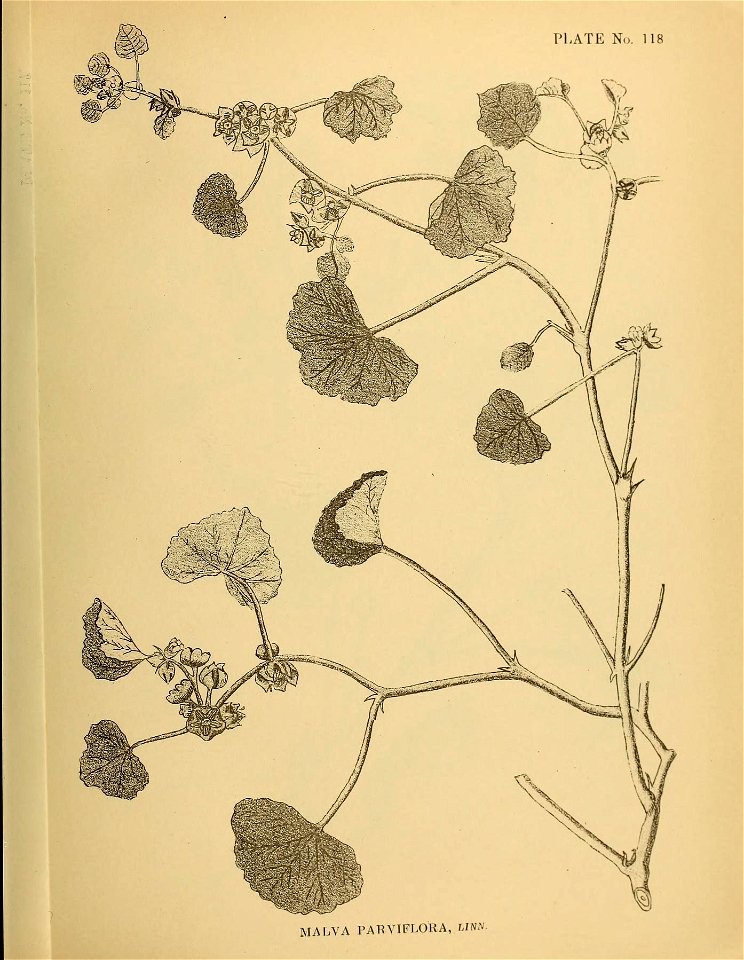 n302_w1150