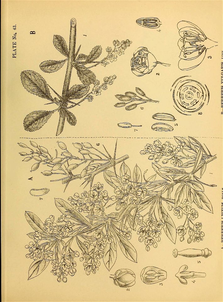 n122_w1150