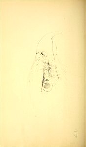 n229_w1150