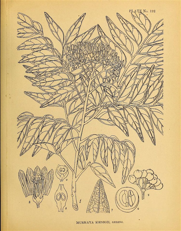 n486_w1150