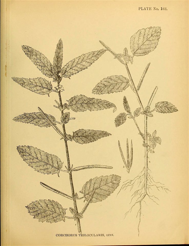 n422_w1150