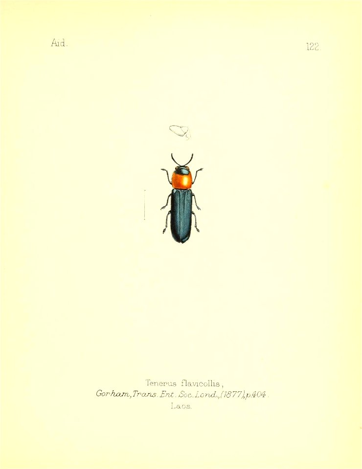 n78_w1150