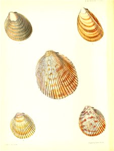 n461_w1150