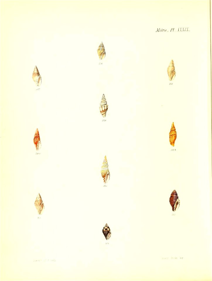 n395_w1150