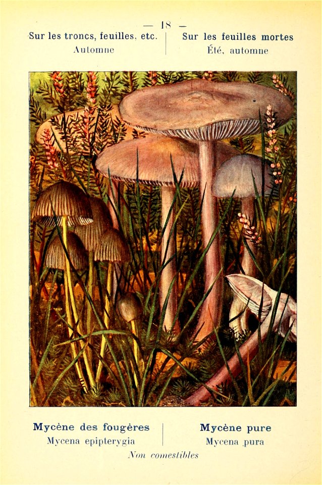 n49_w1150