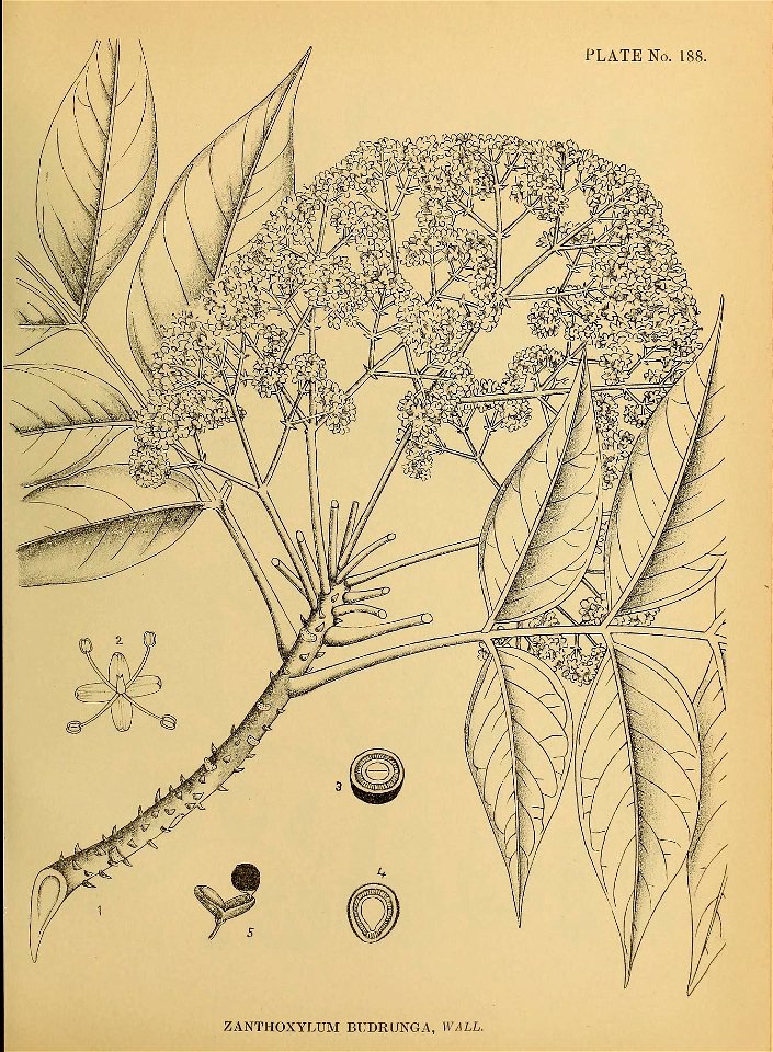 n478_w1150