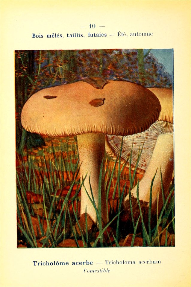 n33_w1150