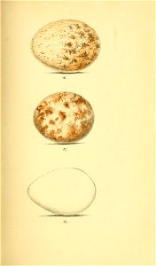 n158_w1150