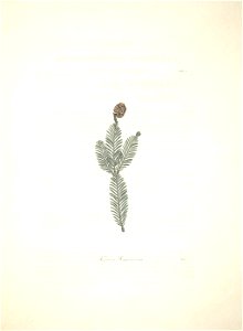 n48_w1150