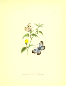 n50_w1150