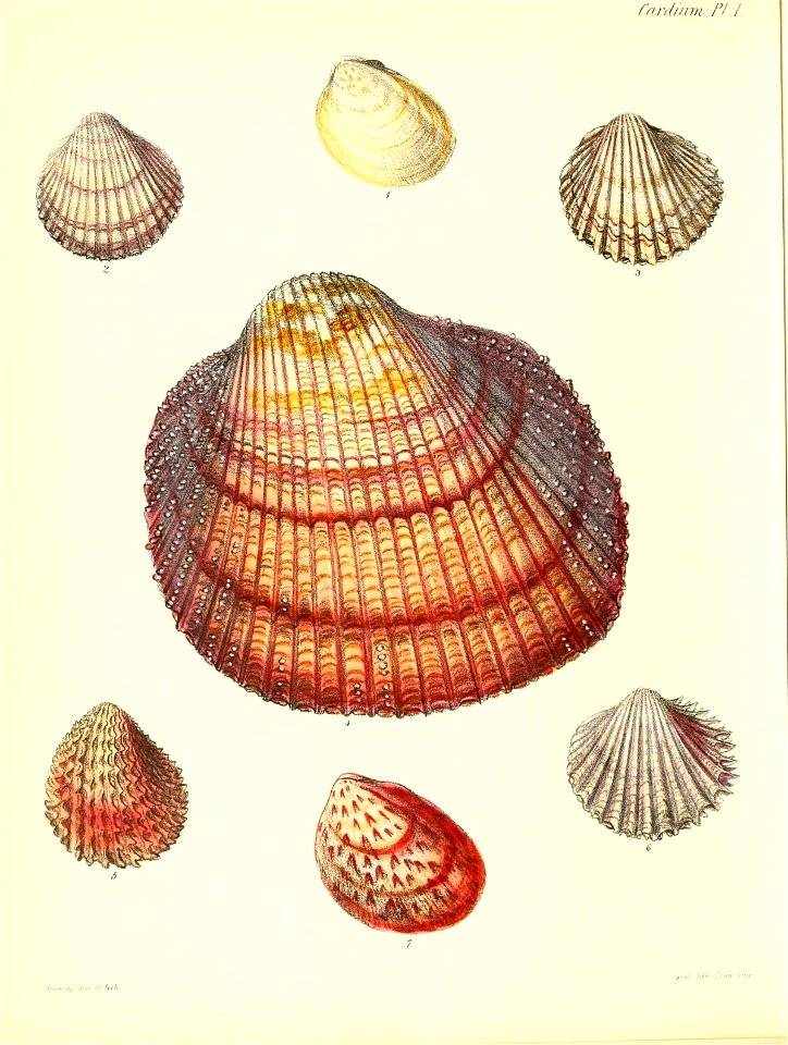 n405_w1150