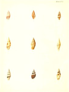n279_w1150